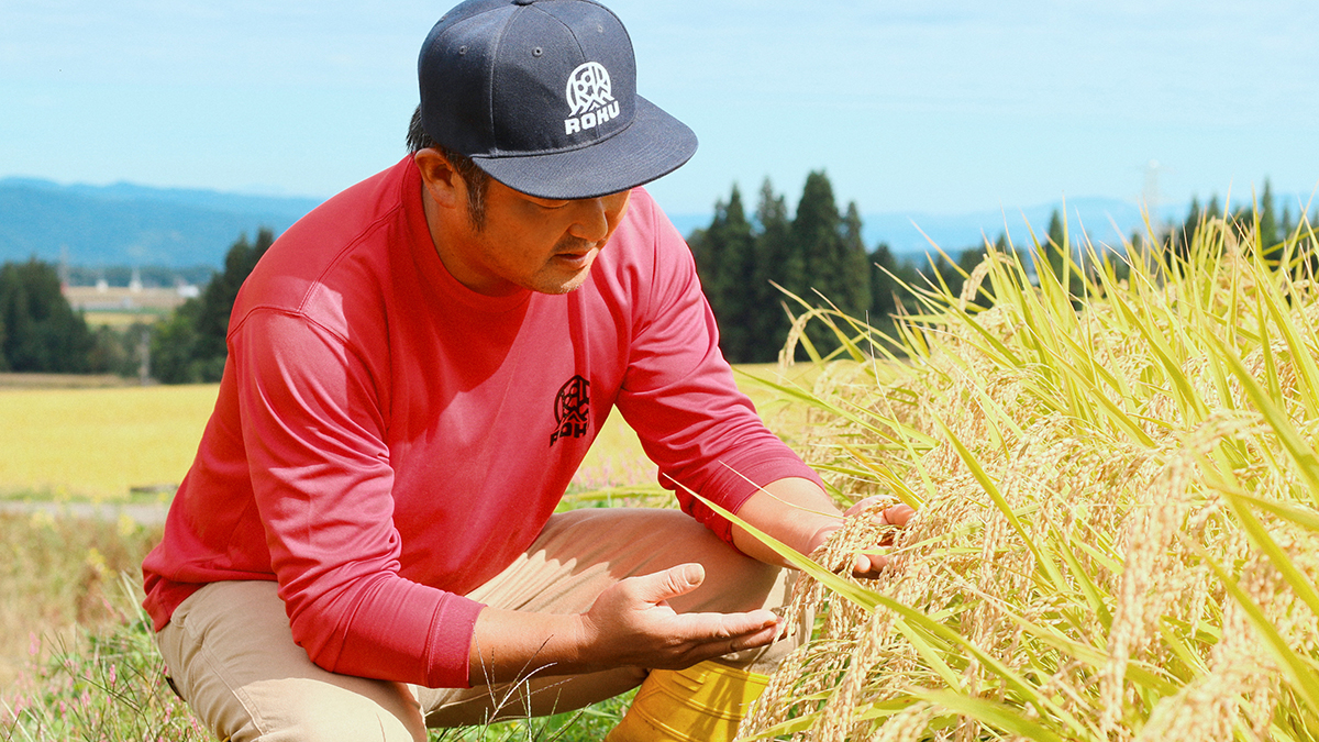 農ドル田中 WS ニードフル止水シート